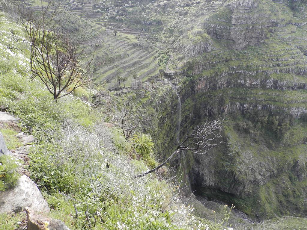 Wanderung von Arure nach  El Cercado, Calera